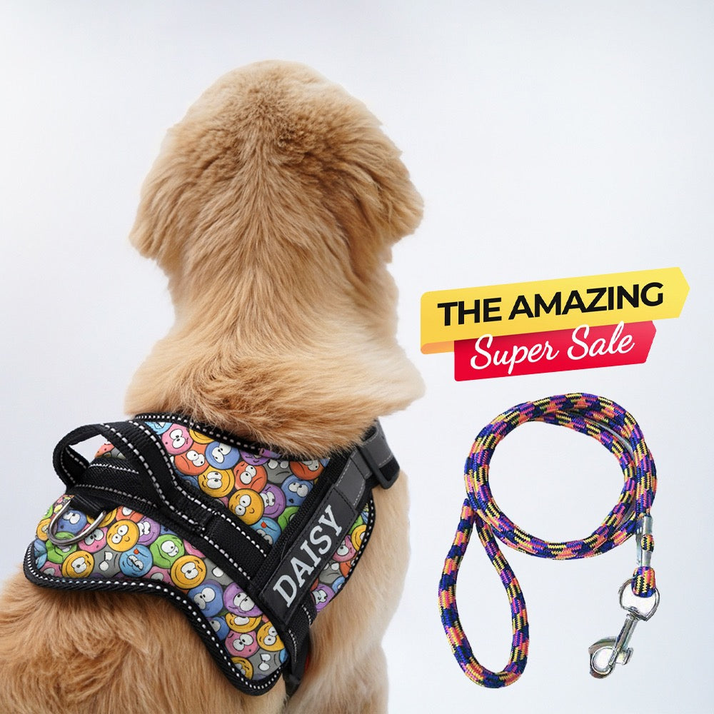 Personalized Dog Harness
