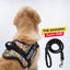Personalized Dog Harness - GROOVY EMOJIS