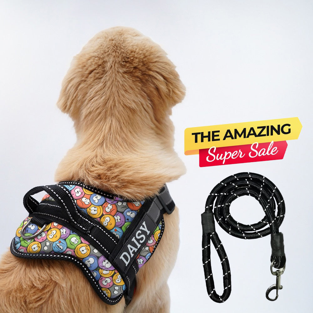 Personalized Dog Harness - GROOVY EMOJIS