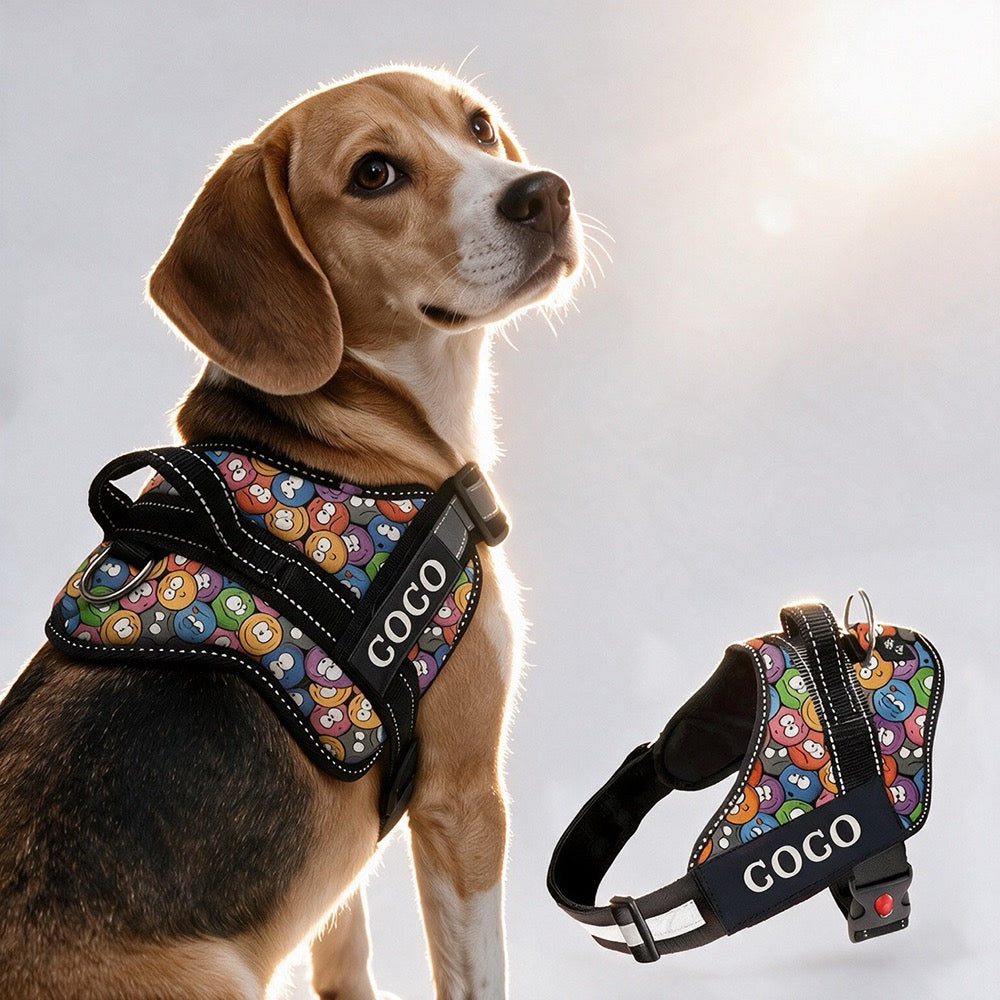 Personalized Dog Harness - GROOVY EMOJIS