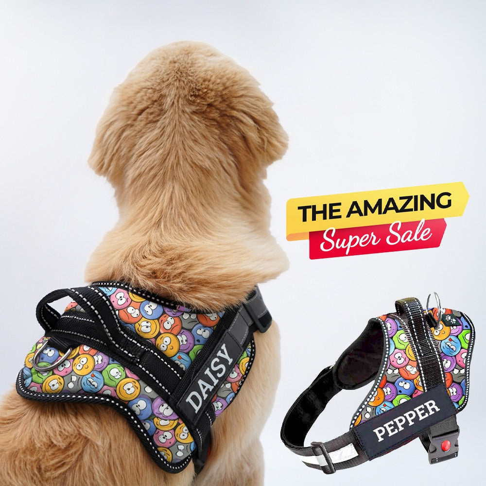 Personalized Dog Harness - GROOVY EMOJIS