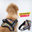 Personalized Dog Harness - GROOVY EMOJIS