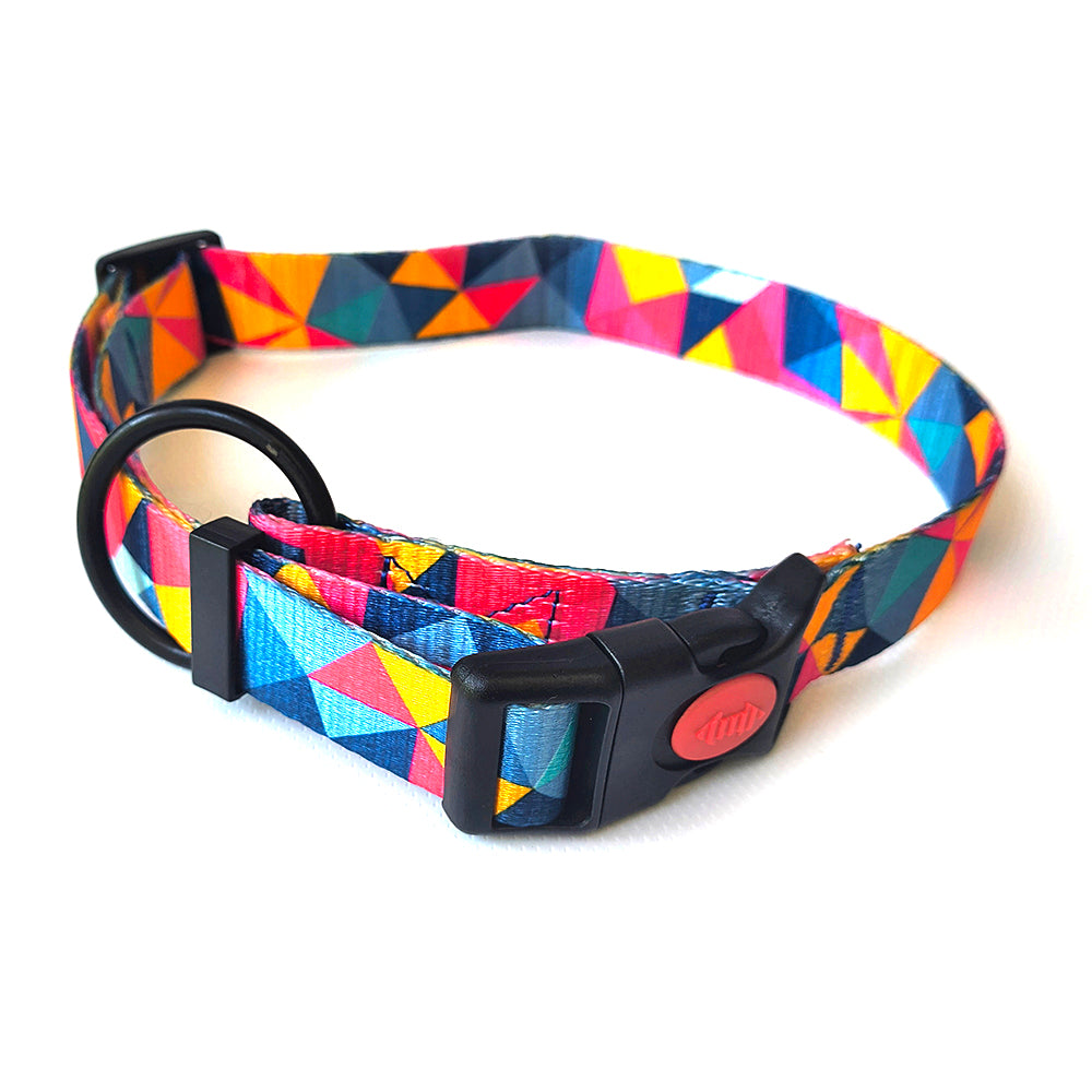 Premium Graphic Dog Collar and Leash Combo - GeometrIQ (Large)