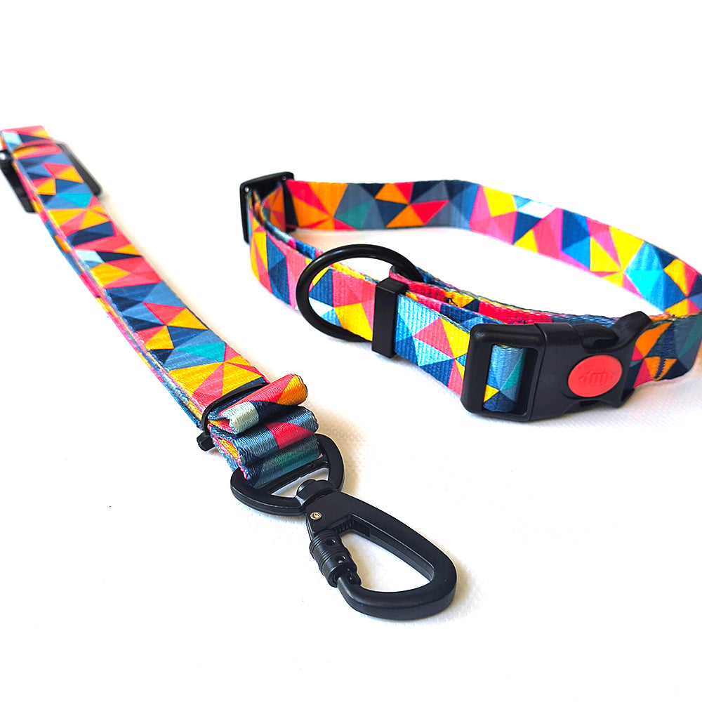 Premium Graphic Dog Collar and Leash Combo - GeometrIQ (Large)