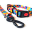 Premium Graphic Dog Collar and Leash Combo - GeometrIQ (Large)