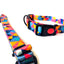 Premium Graphic Dog Collar and Leash Combo - GeometrIQ (Large)