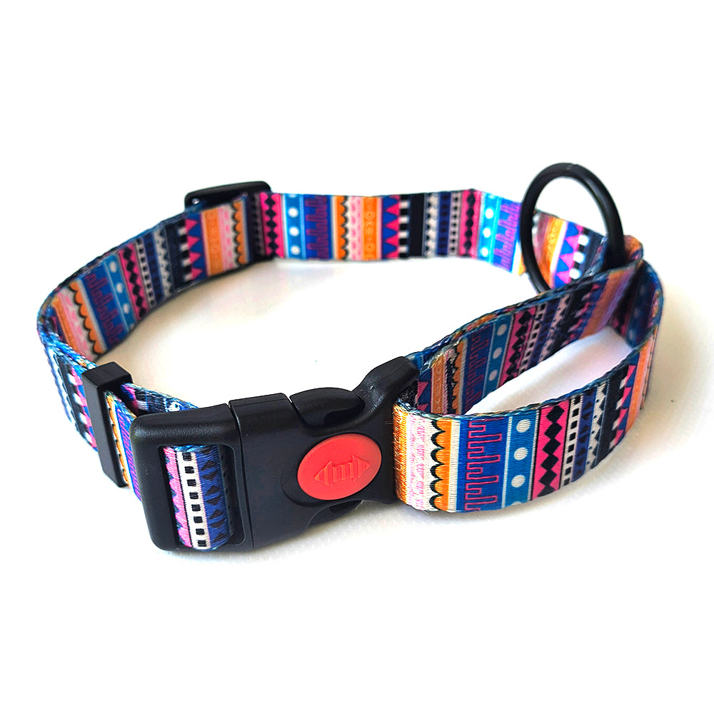 Premium Graphic Dog Collar and Leash Combo -ARABIAN NIGHTS