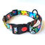 Premium Graphic Dog Collar and Leash Combo - BOTANY