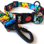 Premium Graphic Dog Collar and Leash Combo - BOTANY