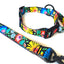 Premium Graphic Dog Collar and Leash Combo - BOTANY