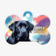 Personalized Pet ID Tag - Labrador Black