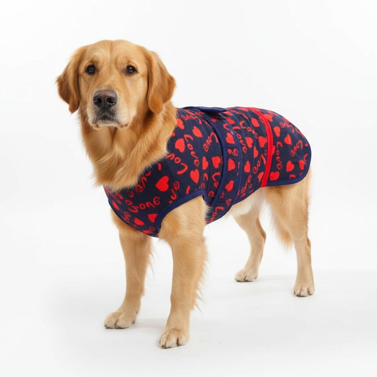 Dog Coat/Jacket - LOVE Jacket (Assorted Colors)