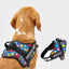 Personalized Dog Harness