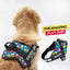Personalized Dog Harness - MONSTRUCK