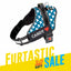 Personalized Dog Harness
