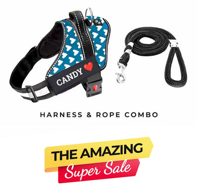 Personalized Dog Harness - OCEAN LOVE