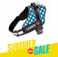 Personalized Dog Harness - OCEAN LOVE