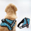 Personalized Dog Harness - OCEAN LOVE