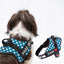 Personalized Dog Harness