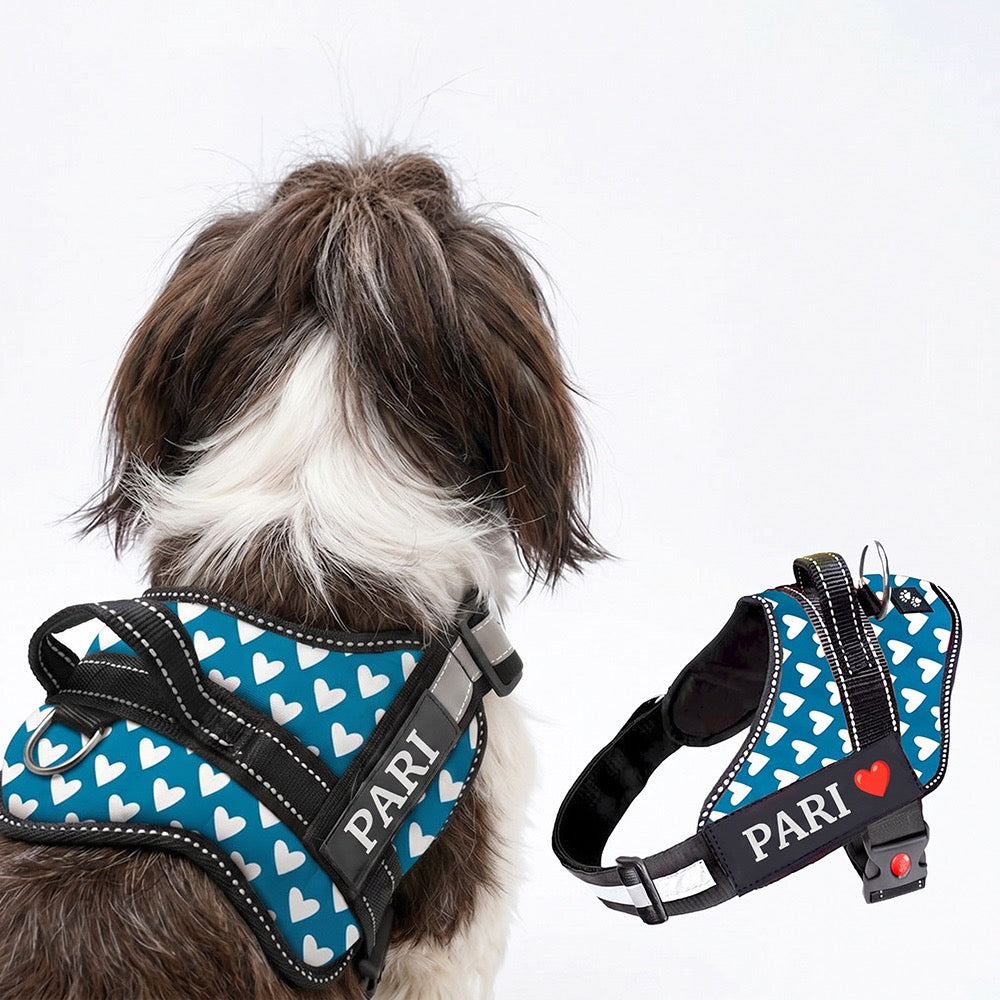 Personalized Dog Harness