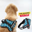 Personalized Dog Harness - OCEAN LOVE