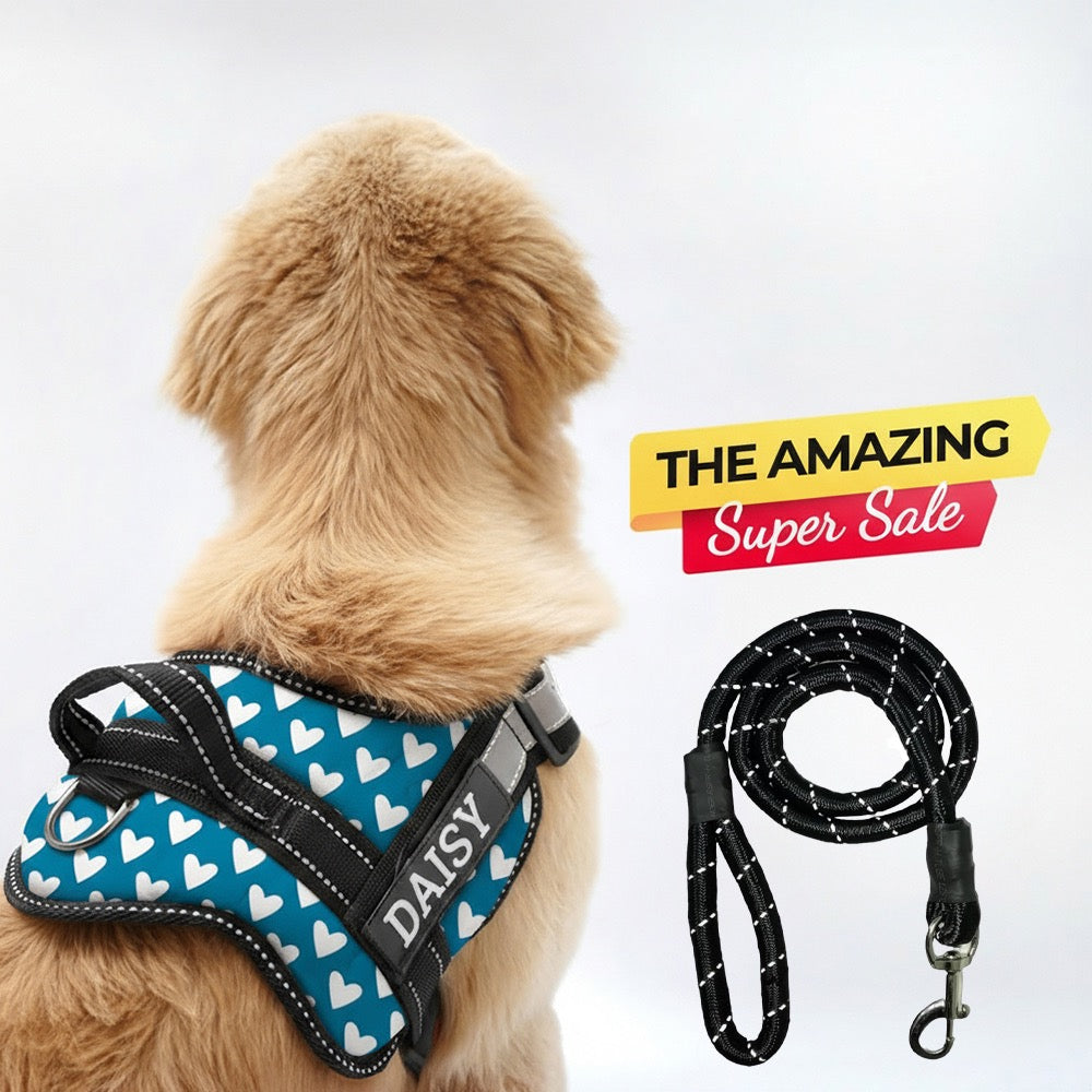 Personalized Dog Harness