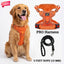 PRO Harness - CITRUS RUSH - Reflective | No-Choke | Adjustable
