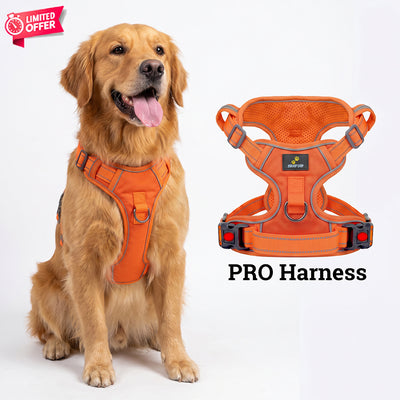PRO Harness - CITRUS RUSH - Reflective | No-Choke | Adjustable