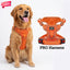 PRO Harness - CITRUS RUSH - Reflective | No-Choke | Adjustable
