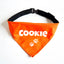 Personalized Bandana for Pets - ORANGE