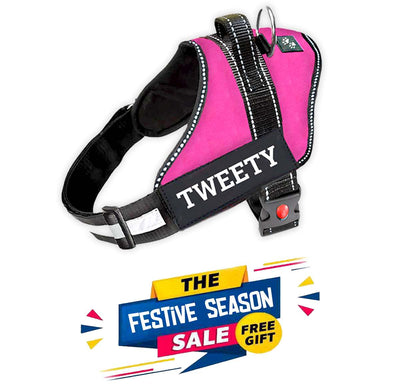 Personalized Dog Harness - PINK