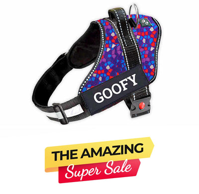 Personalized Dog Harness - PURPLE PASSION