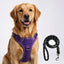 PRO Harness - GRAPE ESCAPE - Reflective | No-Choke | Adjustable