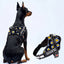 Personalized Dog Harness - PATCH ME IF YOU CAN