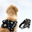 Personalized Dog Harness