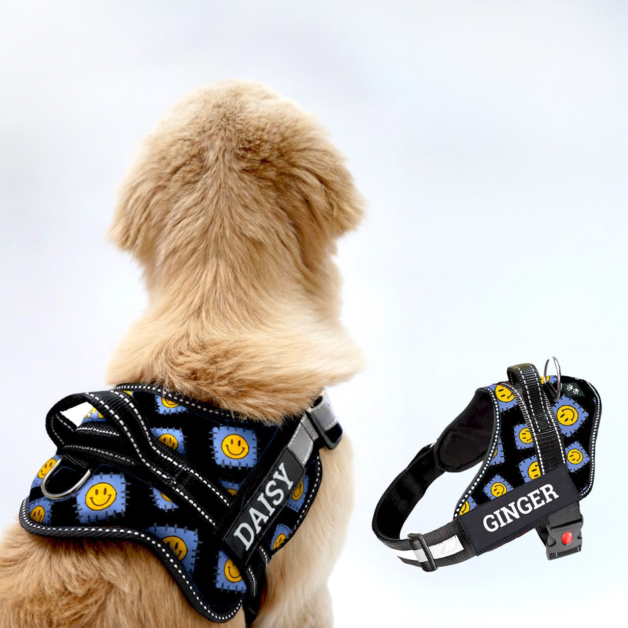Personalized Dog Harness - PATCH ME IF YOU CAN