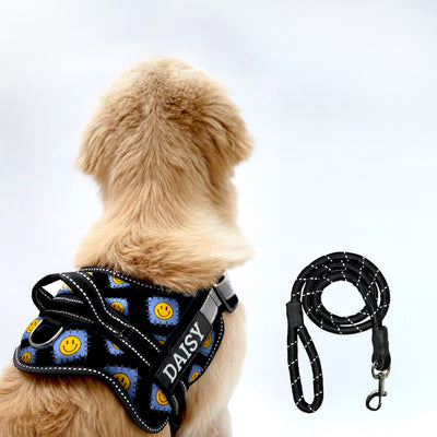 Personalized Dog Harness - PATCH ME IF YOU CAN