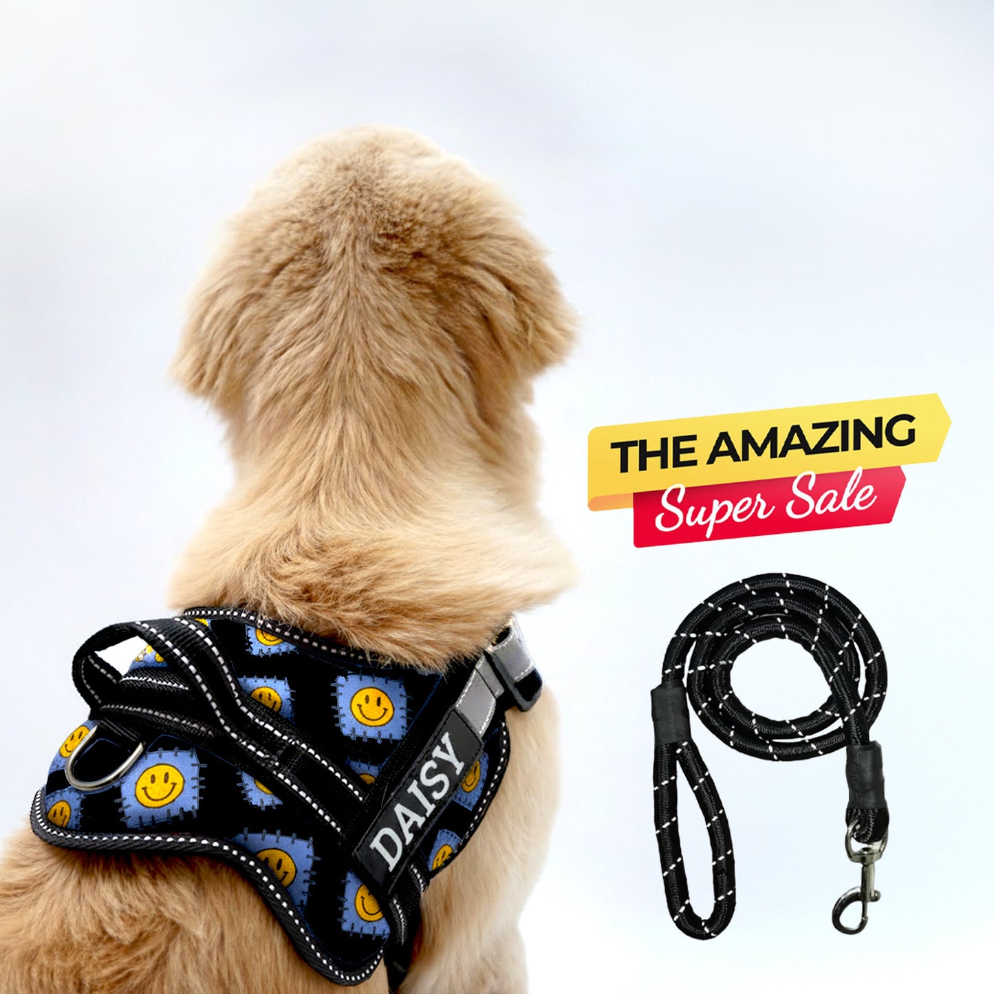 Personalized Dog Harness - PATCH ME IF YOU CAN