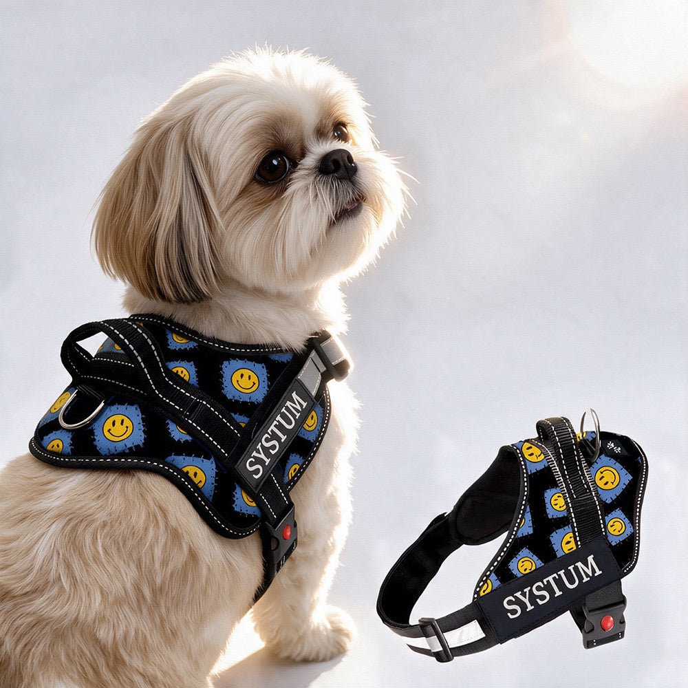 Personalized Dog Harness - PATCH ME IF YOU CAN