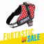 Personalized Dog Harness