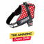 Personalized Dog Harness