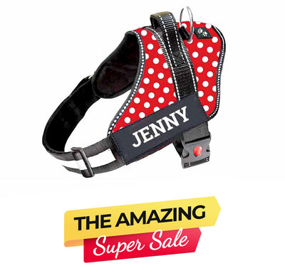 Personalized Dog Harness - POLKA CHARM
