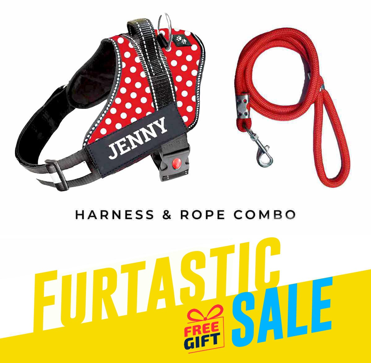 Personalized Dog Harness