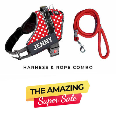 Personalized Dog Harness - POLKA CHARM