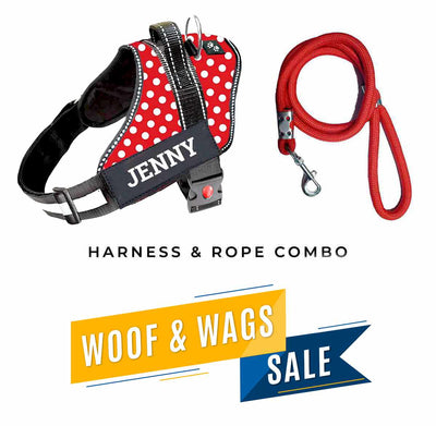 Personalized Dog Harness - POLKA CHARM