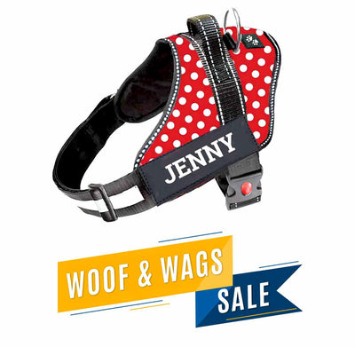 Personalized Dog Harness - POLKA CHARM