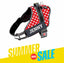 Personalized Dog Harness - POLKA CHARM