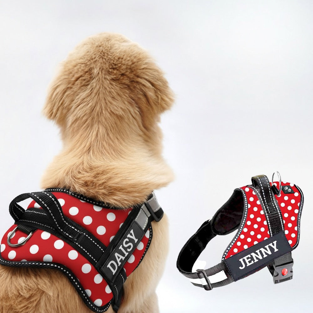 Personalized Dog Harness - POLKA CHARM