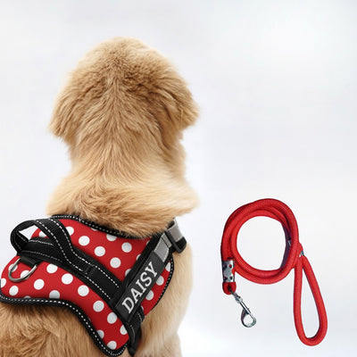 Personalized Dog Harness - POLKA CHARM