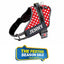 Personalized Dog Harness